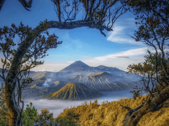 Exploring the Magical Landscapes of Bromo and Ijen