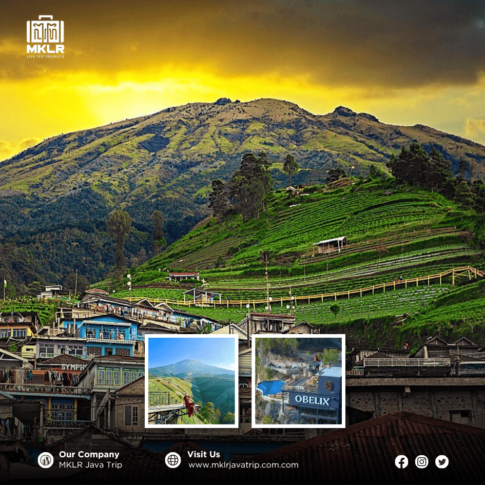 Ground package Jogja 5D4N casual trip D